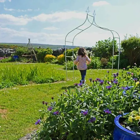 Apartment Garden At Dalys House