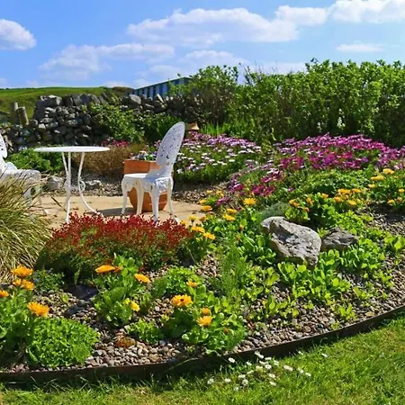 Apartment Garden At Dalys House Doolin