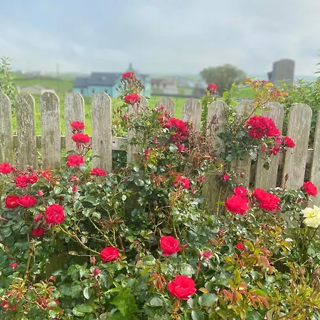 Garden At Dalys House *