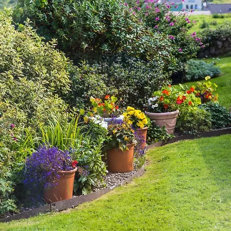 Garden At Dalys House *