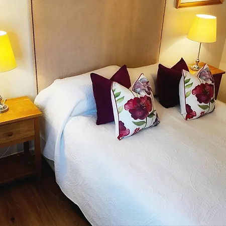 Garden At Dalys House *